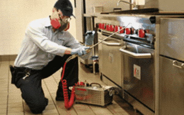 Extermination pour restaurants
