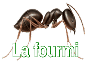 la-fourmis